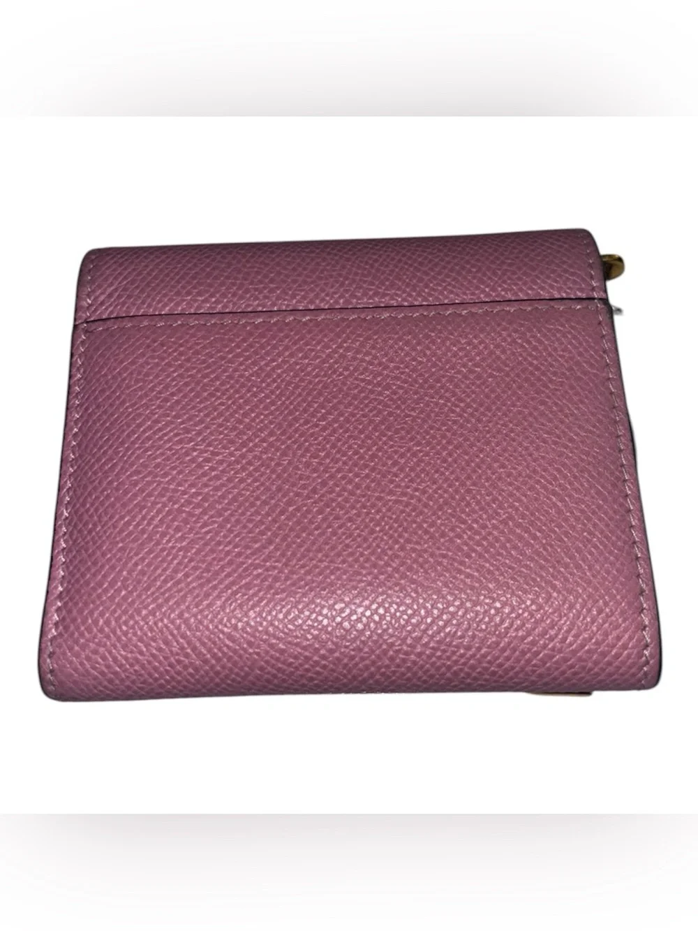 Dior authentic saddle